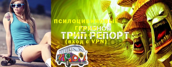 тгк Богданович