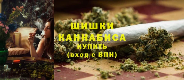 PSILOCYBIN Богородицк