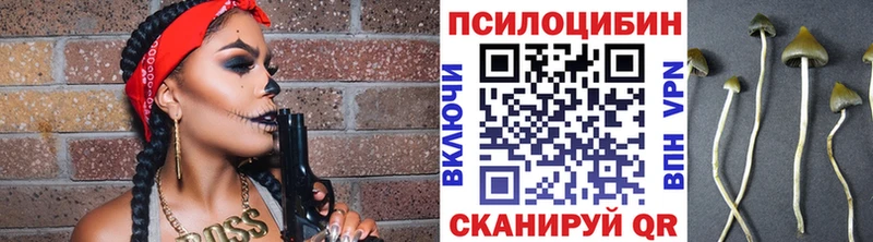 Галлюциногенные грибы GOLDEN TEACHER Бузулук